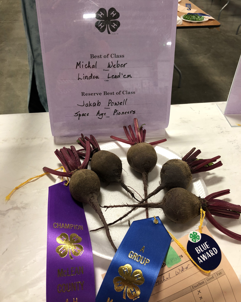 Best of Class Beets for 4H