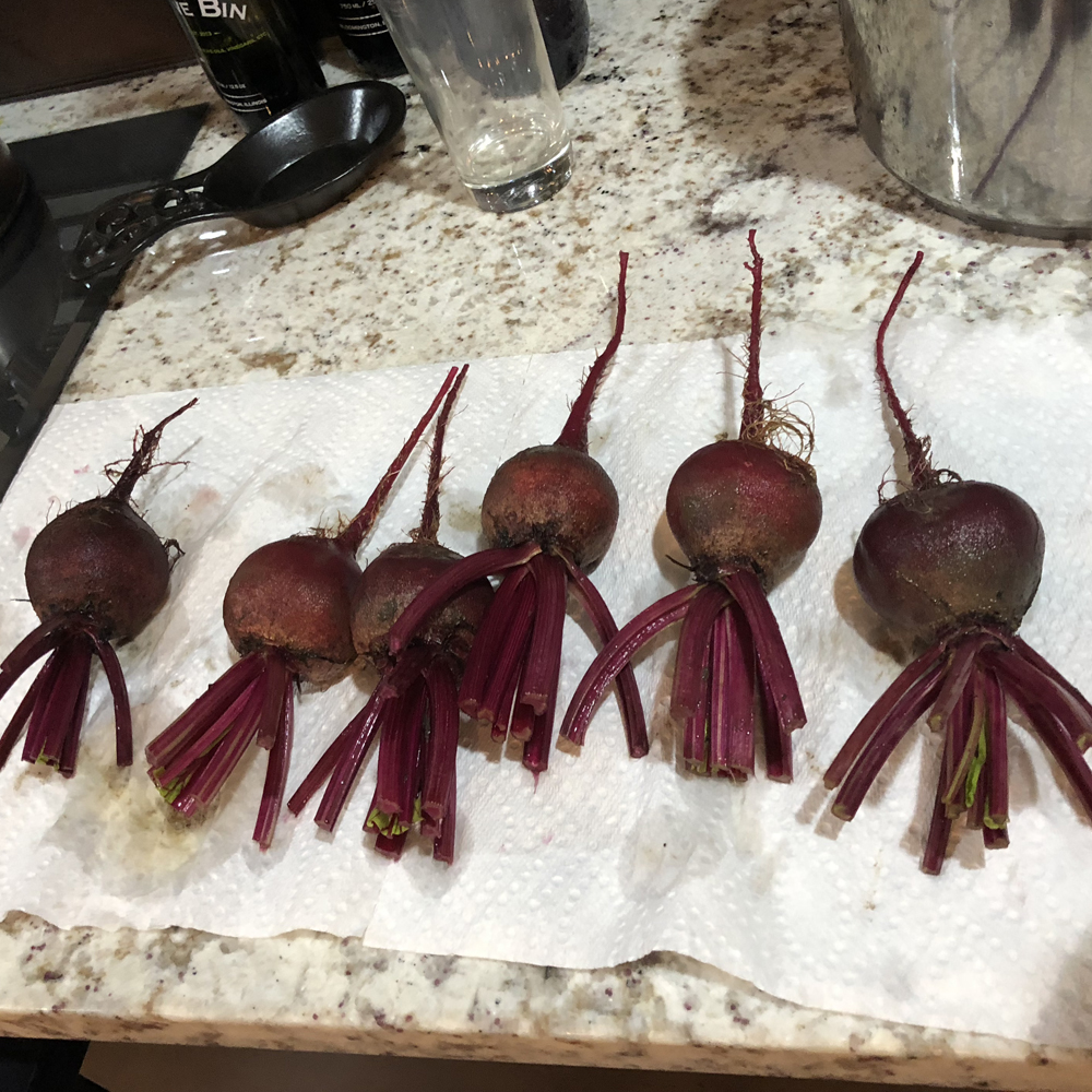 Beets for the 4H fiar