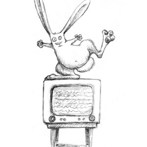 Rabbit Ears for TV antenna